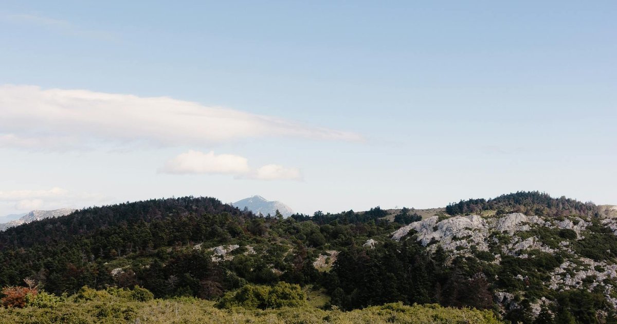 Corfu Trail Hiking Guide - Best Day Walks & Routes